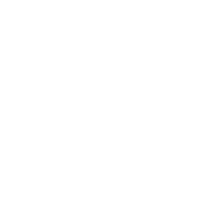 DF INFINITY IT SOLUTION Background